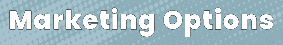 Marketing Options
