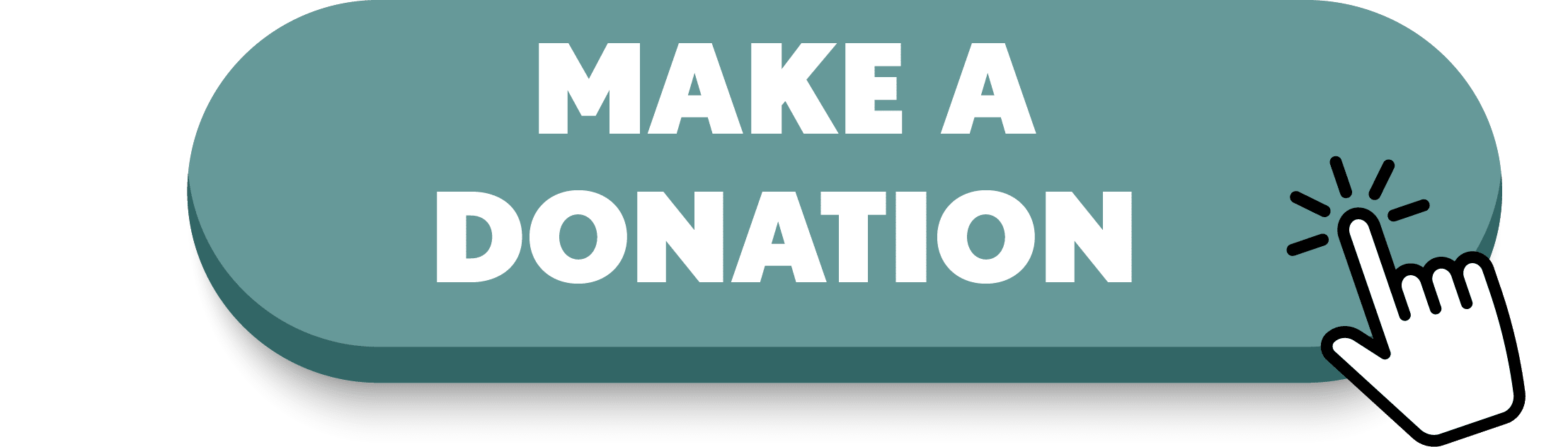Make a Donation Button